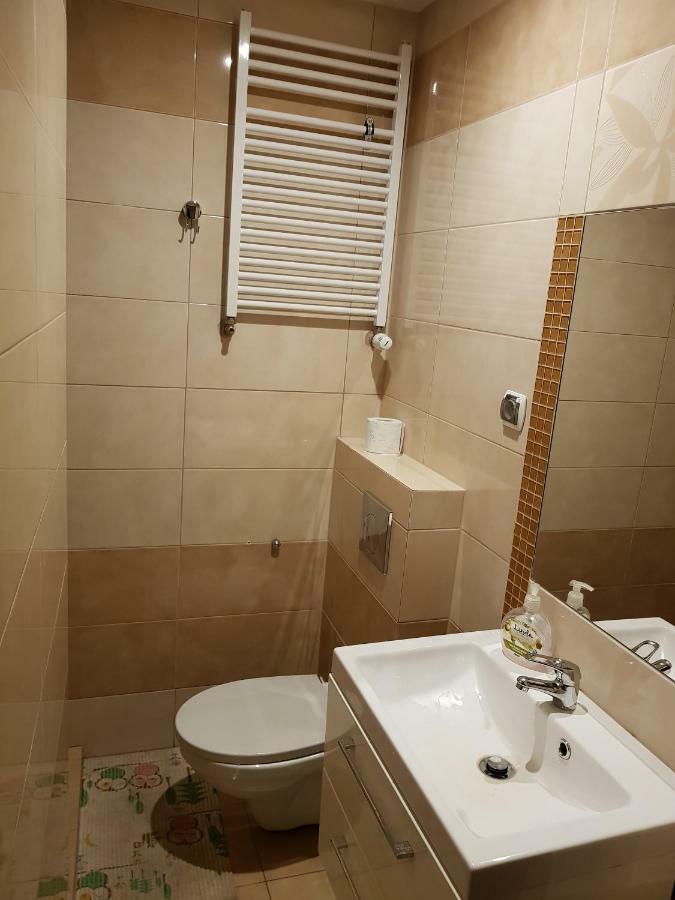 Apartamenty I Pokoje Przy Parku イェレニャ・グーラ エクステリア 写真